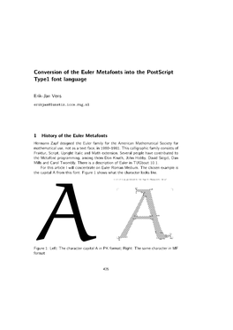 Conversion of the Euler Metafonts Into the Postscript Type1 Font Language 427