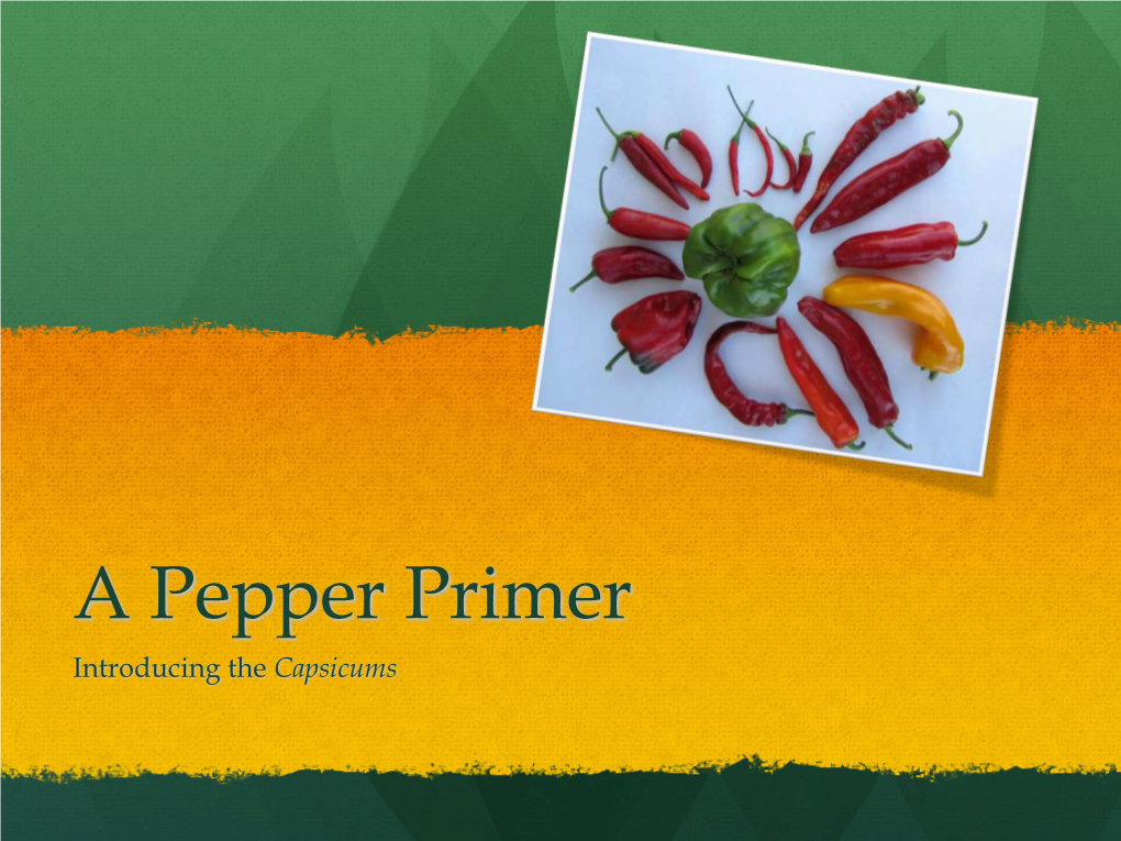 A Pepper Primer Introducing the Capsicums a Brief History