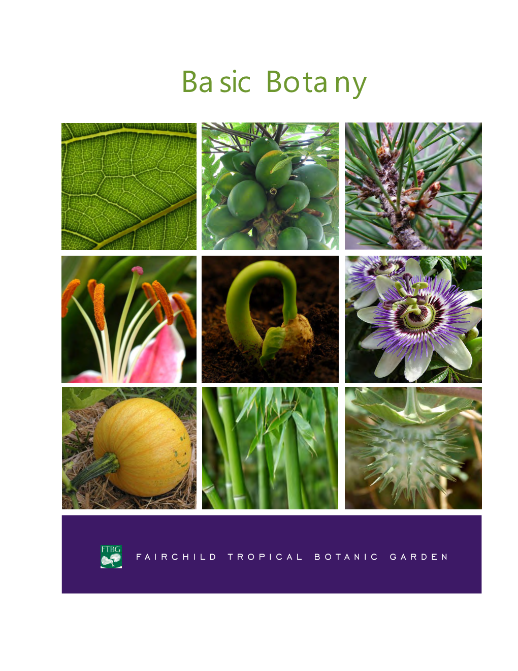 Basic Botany