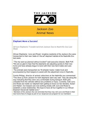Jackson Zoo Animal News