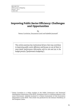 Improving Public Sector Efficiency: Challenges and Opportunities