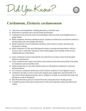 Cardamom, Elettaria Cardamomum