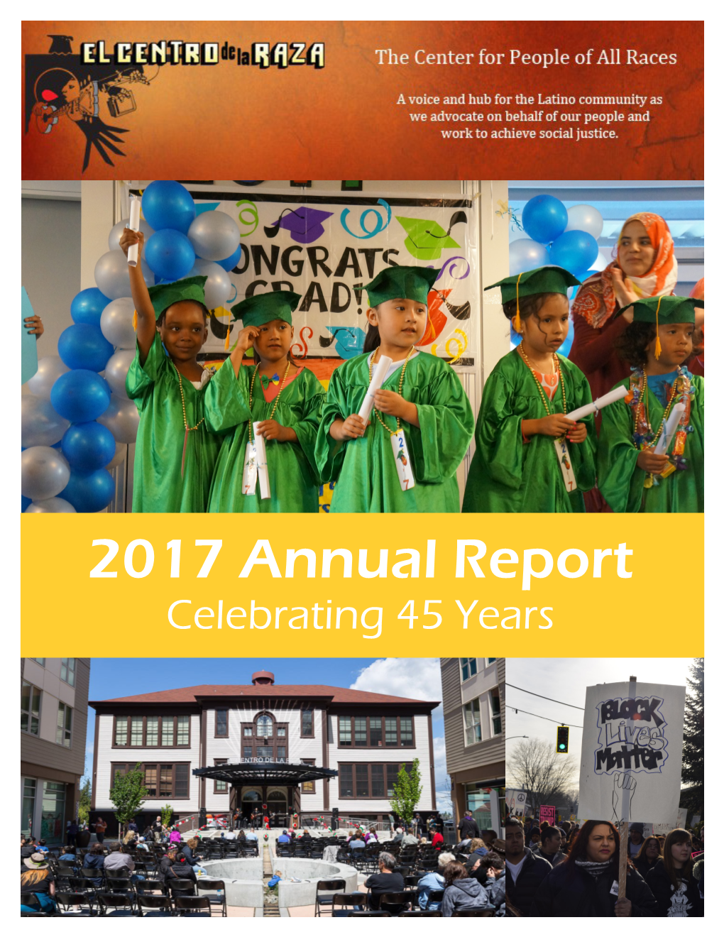 Annual Report 2017