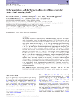 Stellar Populations and Star Formation Histories of the Nuclear Star Clusters