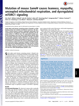Mutation of Mouse Samd4 Causes Leanness, Myopathy, Uncoupled Mitochondrial Respiration, and Dysregulated Mtorc1 Signaling