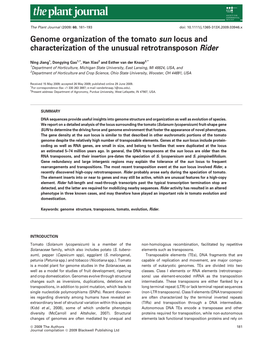 Genome Organization of the Tomato Sun Locus and Characterization of the Unusual Retrotransposon Rider