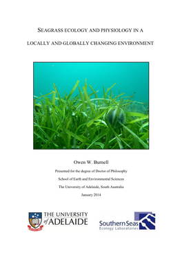 Seagrass Ecology and Physiology in a Locally and Globally Changing