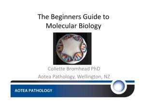 The Beginners Guide to Molecular Biology