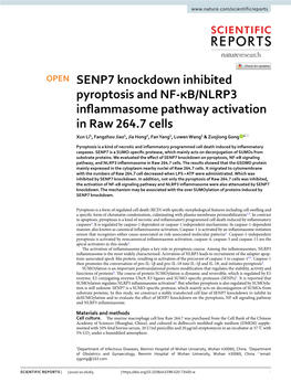 SENP7 Knockdown Inhibited Pyroptosis and NF-Κb/NLRP3