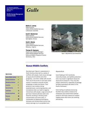 Gulls Wildlife Damage Management Technical Series