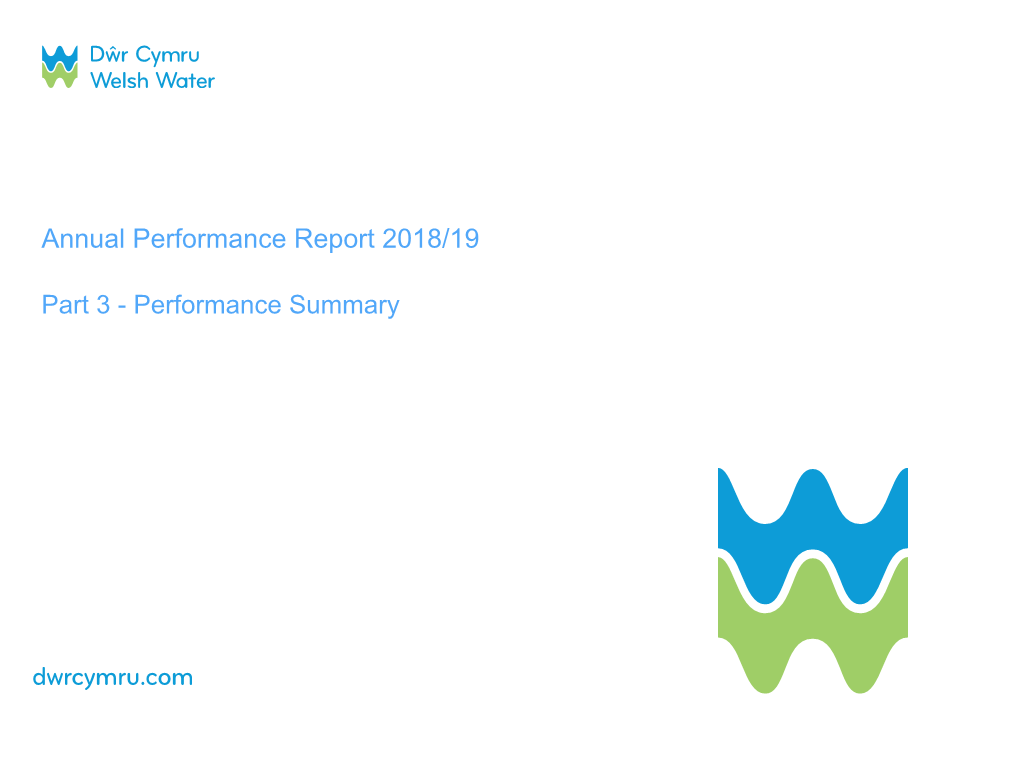 Annual Performance Report 2019