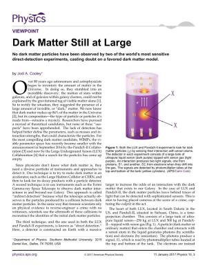 Dark Matter Still at Large