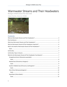 Warmwater Streams and Their Headwaters (Accessible)