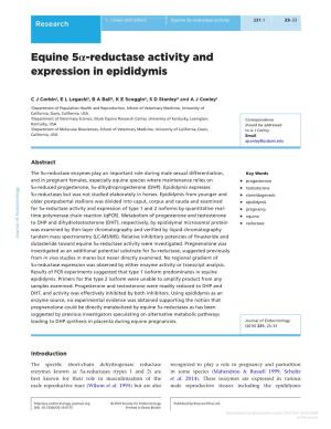 Equine 5Α-Reductase Activity and Expression in Epididymis