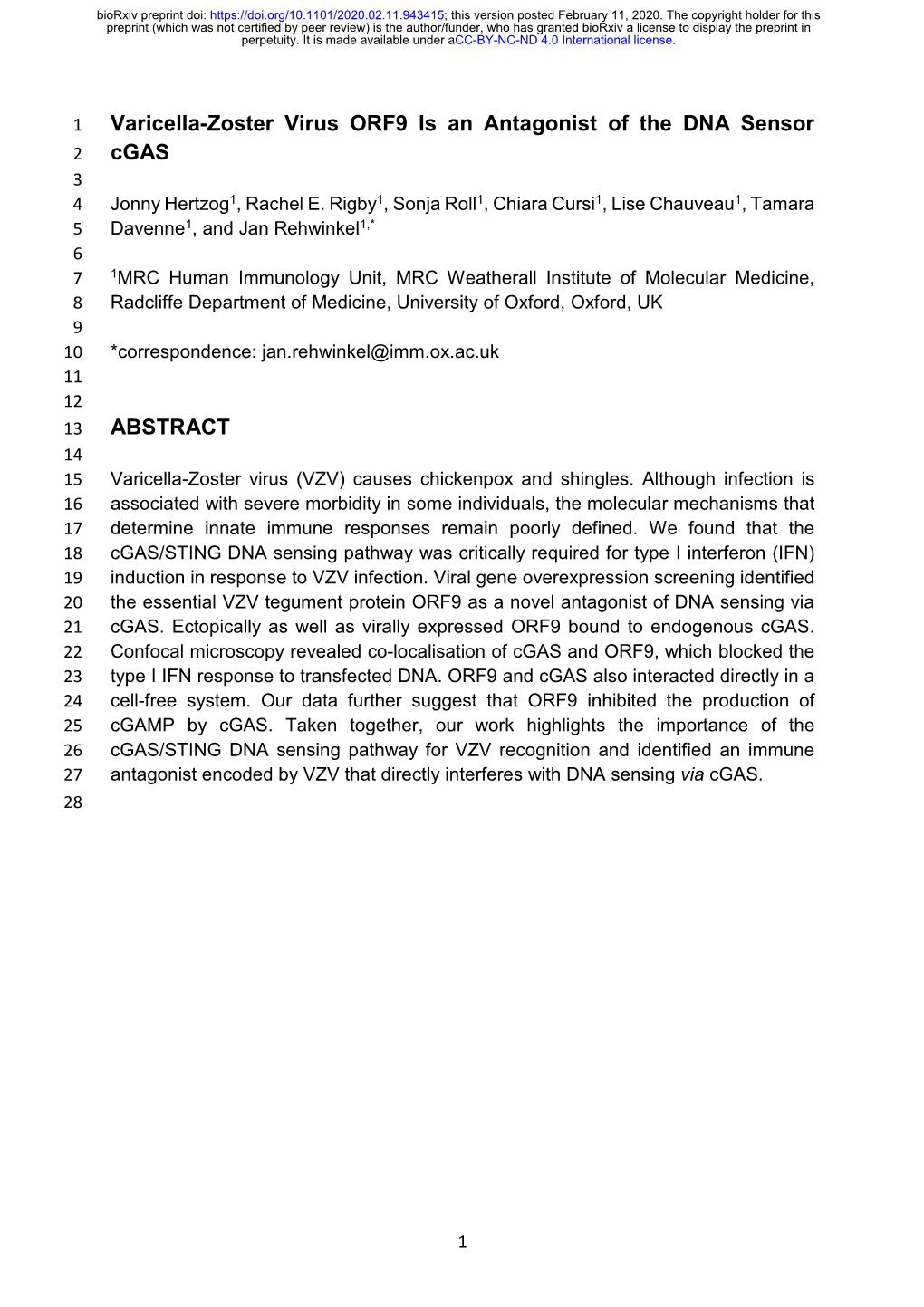 Varicella-Zoster Virus ORF9 Is an Antagonist of the DNA Sensor Cgas ABSTRACT