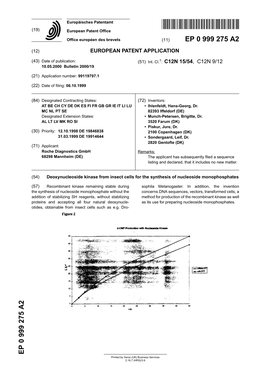 Deoxynucleoside Kinase from Insect Cells for the Synthesis of Nucleoside Monophosphates