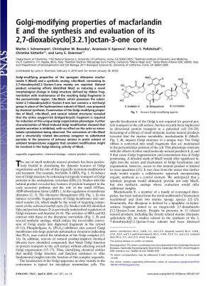 Golgi-Modifying Properties of Macfarlandin E and the Synthesis and Evaluation of Its 2,7-Dioxabicyclo[3.2.1]Octan-3-One Core