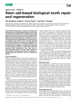 Stem Cell-Based Biological Tooth Repair and Regeneration