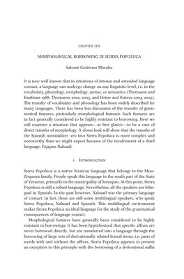 Morphological Borrowing in Sierra Popoluca Salomé