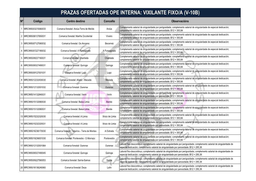 Vixilante Fixo/A (V-10B)