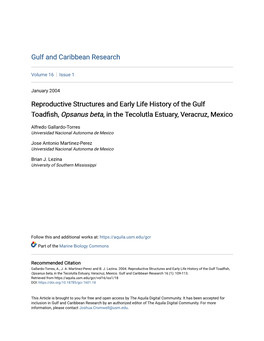 Reproductive Structures and Early Life History of the Gulf Toadfish, Opsanus Beta, in the Tecolutla Estuary, Veracruz, Mexico