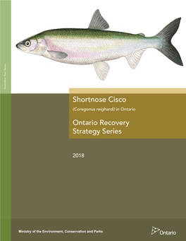 Recovery Strategy for the Shortnose Cisco in Ontario