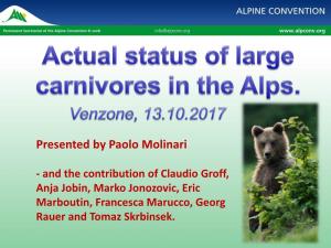 The State of Large Carnivores in the Alps