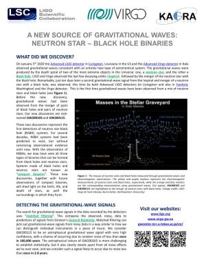 A New Source of Gravitational Waves: Neutron Star – Black Hole Binaries