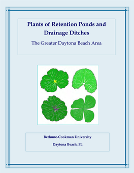 Plants of Retention Ponds and Drainage Ditches