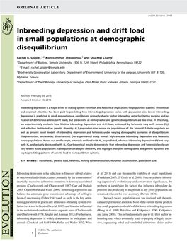 Inbreeding Depression and Drift Load in Small Populations at Demographic Disequilibrium