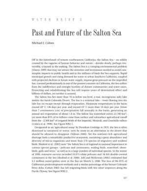 Past and Future of the Salton Sea