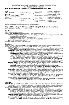 HORSE in TRAINING, Consigned by Prestige Place (M. Botti) the Property of a Gentleman Will Stand at Park Paddocks, Further Paddock, Box 440
