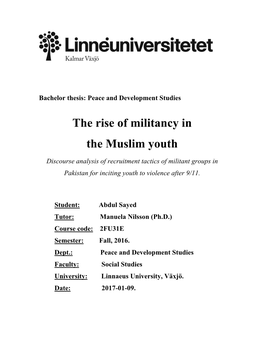 Bachelor Thesis: Peace and Development Studies