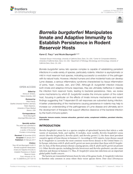 Borrelia Burgdorferi Manipulates Innate and Adaptive Immunity to Establish Persistence in Rodent Reservoir Hosts