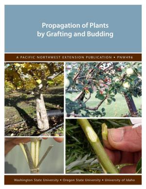 Propagation of Plants by Grafting and Budding