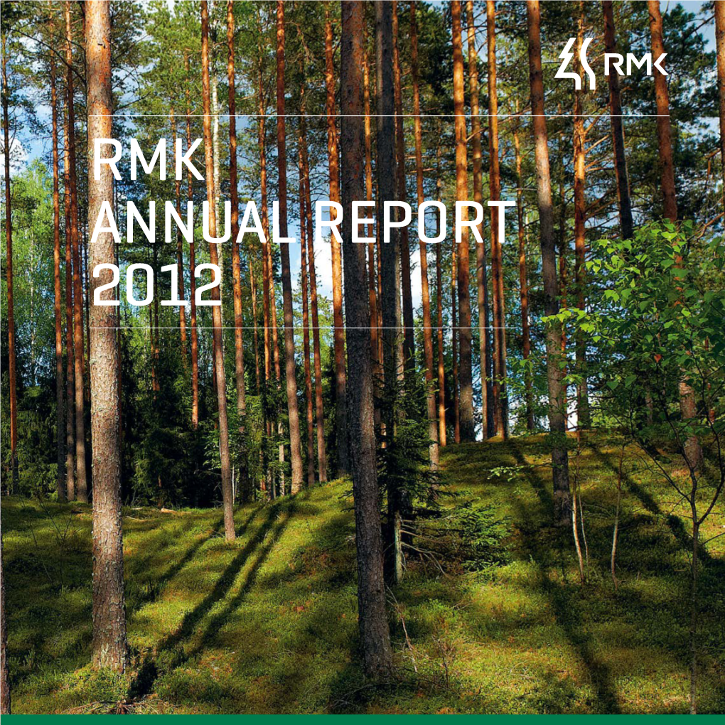 Rmk Annual Report 2012