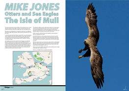 Otters and Sea Eagles the Isle of Mull