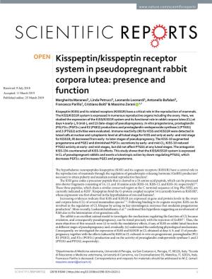 Kisspeptin/Kisspeptin Receptor System in Pseudopregnant Rabbit