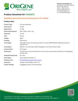 SERPINB13 Mouse Monoclonal Antibody [Clone ID: OTI2F5] Product Data