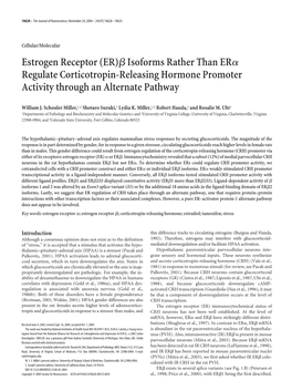 Estrogen Receptor (ER)Яisoforms Rather Than Erα Regulate