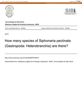 How Many Species of Siphonaria Pectinata (Gastropoda: Heterobranchia) Are There?