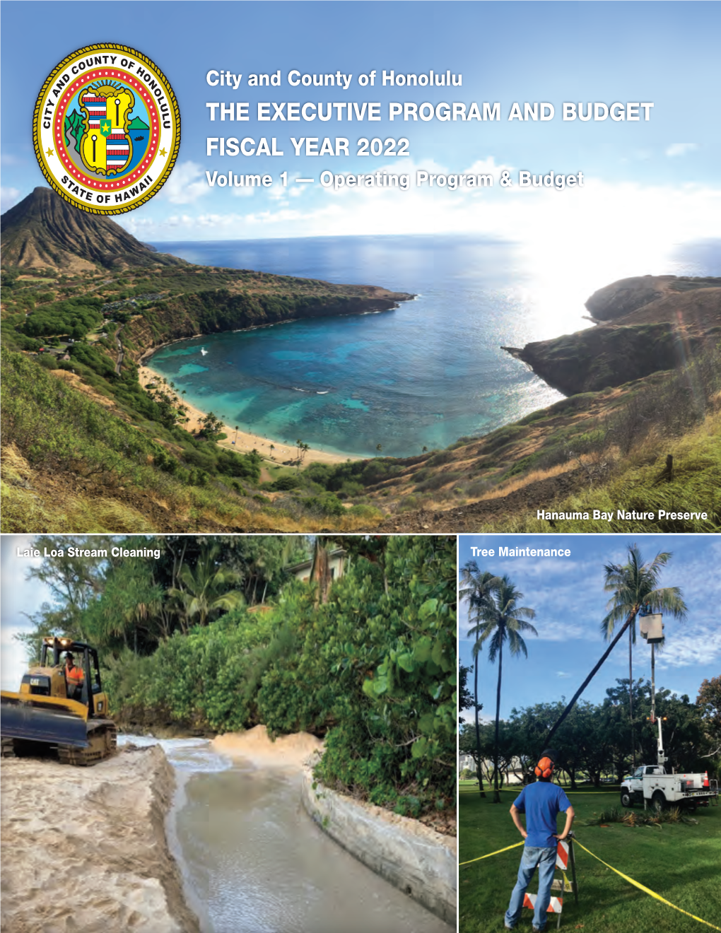 THE EXECUTIVE PROGRAM and BUDGET FISCAL YEAR 2022 Volume 1 — Operating Program & Budget