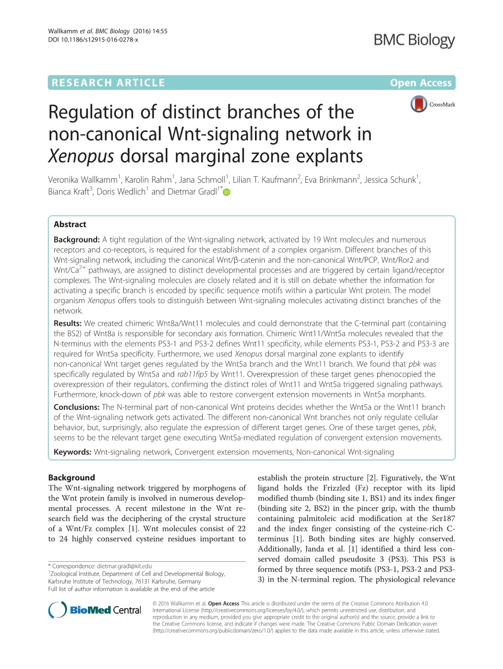 Regulation of Distinct Branches of the Non-Canonical Wnt-Signaling