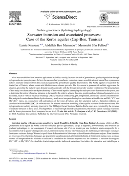 Seawater Intrusion and Associated Processes: Case of the Korba Aquifer