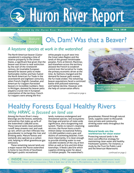 Huron River Report – Fall 2020