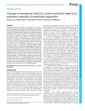 Changes in Hemolymph Total CO2 Content During the Water-To-Air Respiratory Transition of Amphibiotic Dragonflies Daniel J