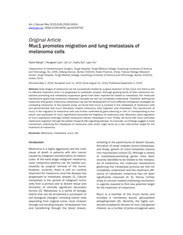 Original Article Muc1 Promotes Migration and Lung Metastasis of Melanoma Cells