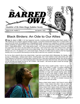 Black Birders: an Ode to Our Allies