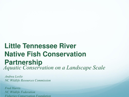 Little Tennessee River Native Fish Conservation Partnership