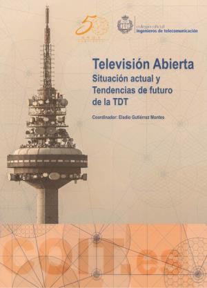 Televisión Abierta Situación Actual Y Tendencias De Futuro De La TDT